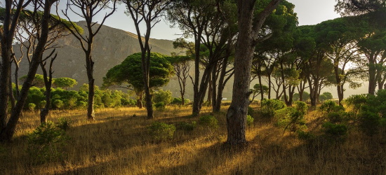 Não se trata do trabalho realizado
