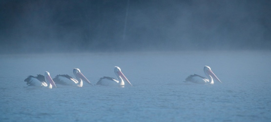 Não se trata de escolhas e opiniões pessoais