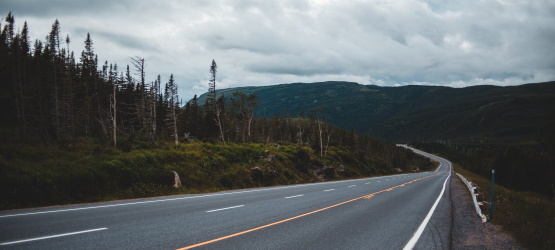 Ironia ou falta de entendimento?