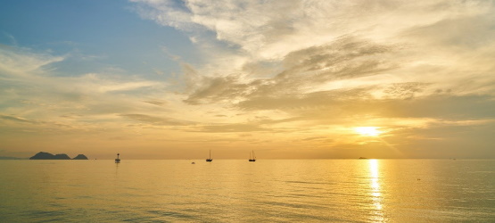 A consciência da oferta