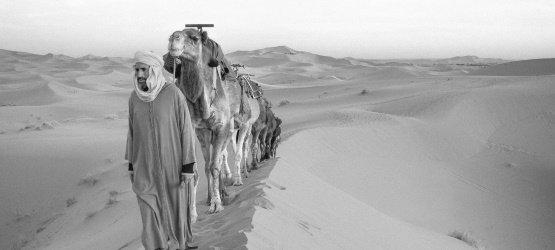 Para o fim, o evangelho