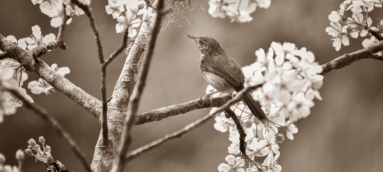 Com quem não nos associarmos