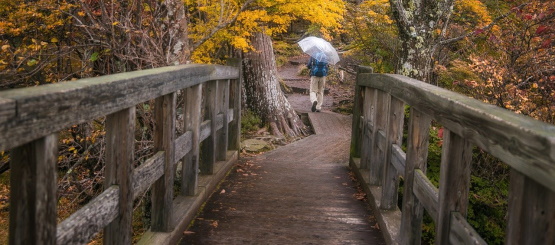 O meu Pai trabalha até agora