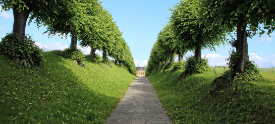 Cremos nas palavras ou no que vemos?