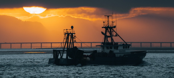 Suportar com fé, esperança e paciência