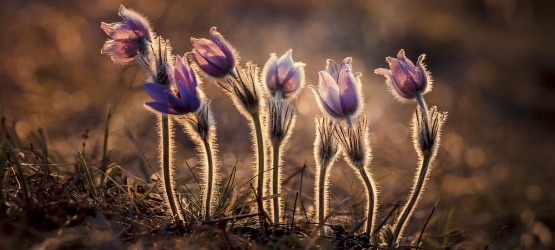 O importante é a mensagem