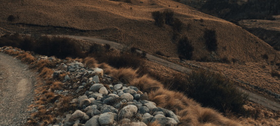 Porque nunca desanimamos