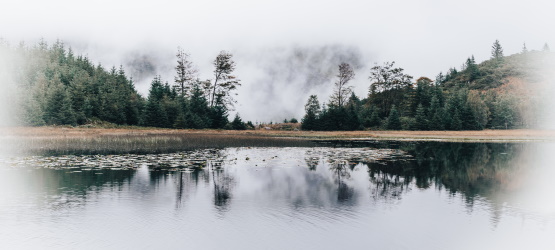 Jesus: quem tira o pecado do mundo