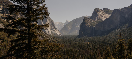 A verdade nos liberta e nos conduz a prática da justiça
