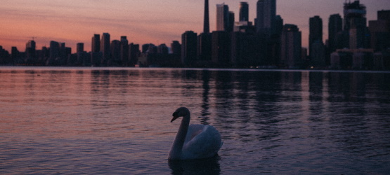 Na obediência a vida eterna