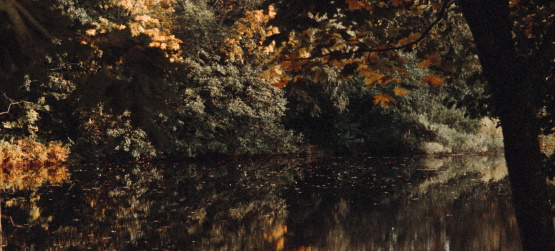 Qual o nosso interesse?