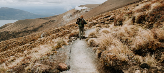 Estando Nele, andamos na luz