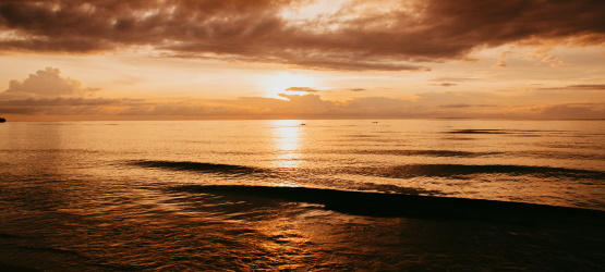 A compreensão para fazer