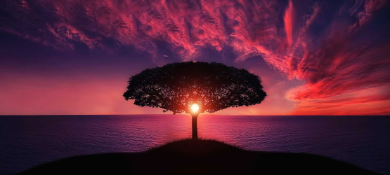 Família de Deus: coluna e alicerce da verdade