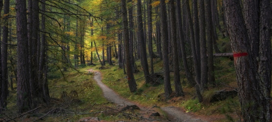 O que acontece com quem não se submete a Cristo?