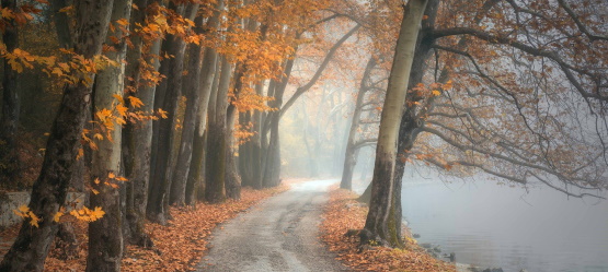 Aprendendo a viver como cristão