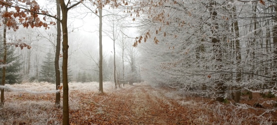 A maneira de agir na família de Deus