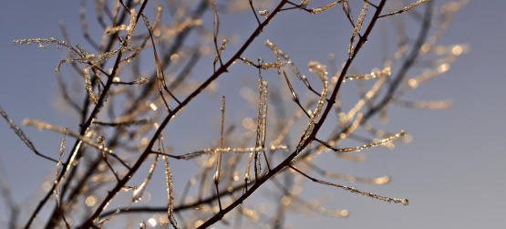 Antes da atitude a compreensão de quem somos