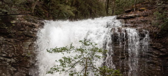 Que tipo de fonte tem sido nossa boca?