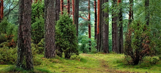 O significado de amar o próximo