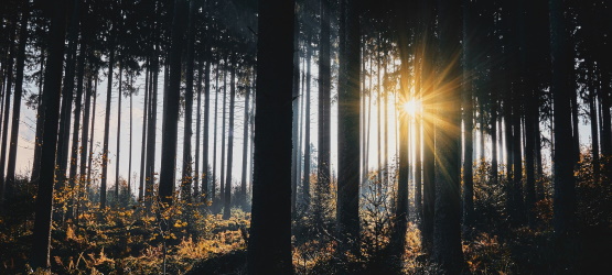 A revelação da graça de Deus