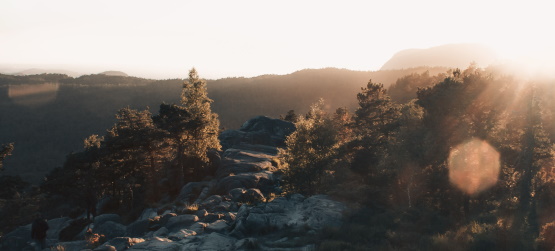 Anunciando as boas novas