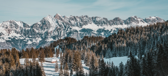 O entendimento equivocado