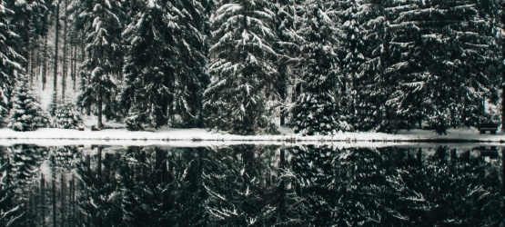 Ter cuidado com a religiosidade