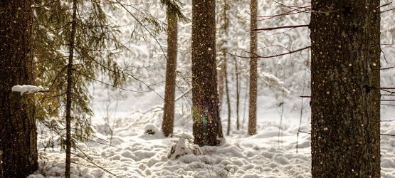 A prioridade do nosso compromisso