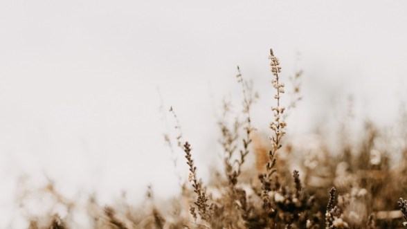 Santificados diante de Deus pela oferta de Cristo