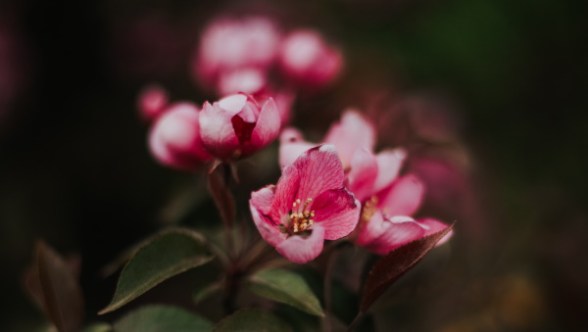 Revelando quem somos