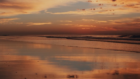 Não termos o coração endurecido