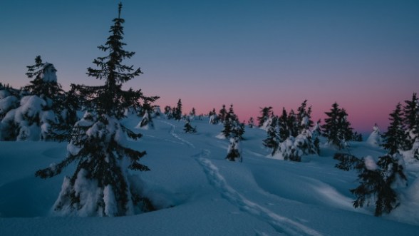 Não desprezar o que recebemos