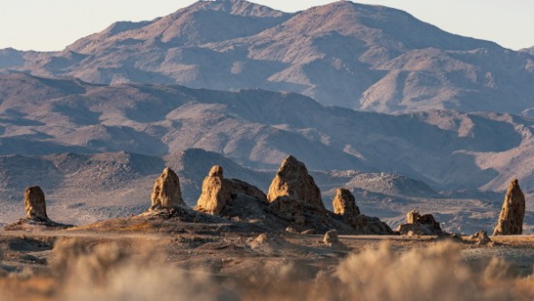 Deixando o importante sem remorso