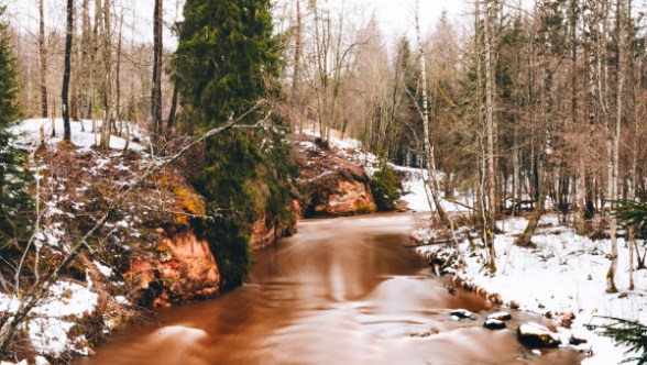 Não é o que fazemos, mas a motivação para fazer