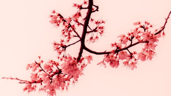 Não podemos ter expectativas