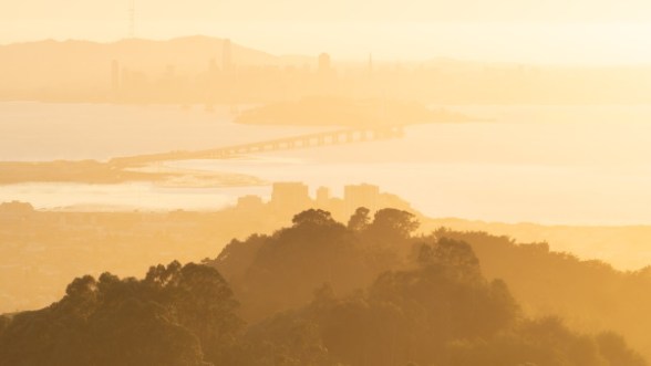 Não é nossa responsabilidade remover o joio