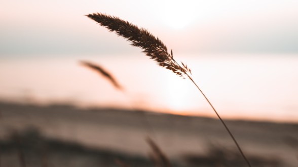 Resistindo ao Espírito