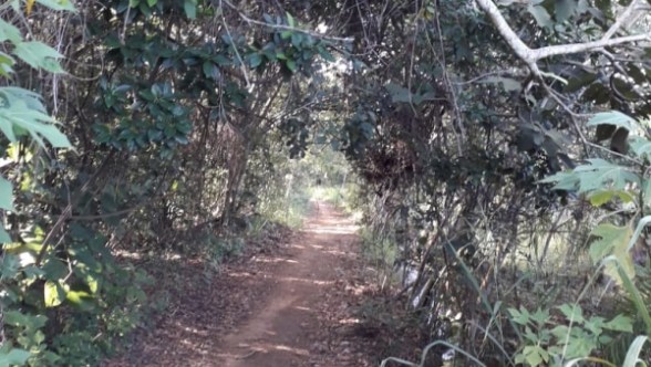 O cuidado e direção de Deus no Seu plano