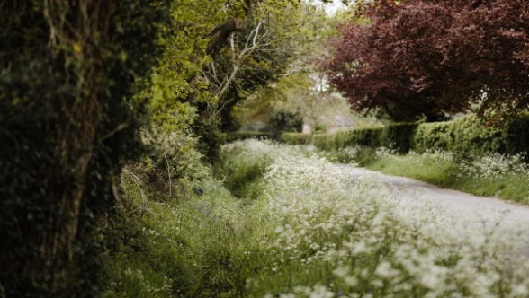 Não sermos desobedientes