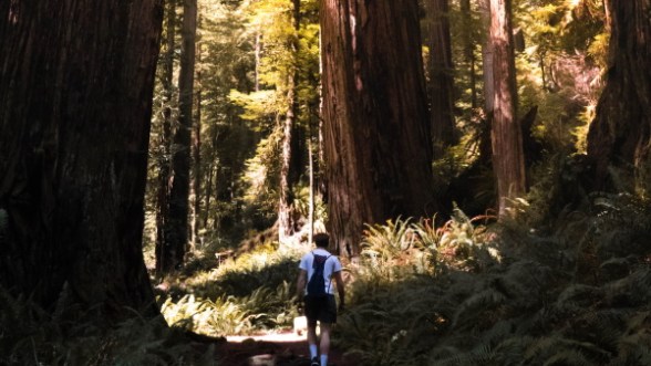 Adentrarmos ou fugirmos da luz