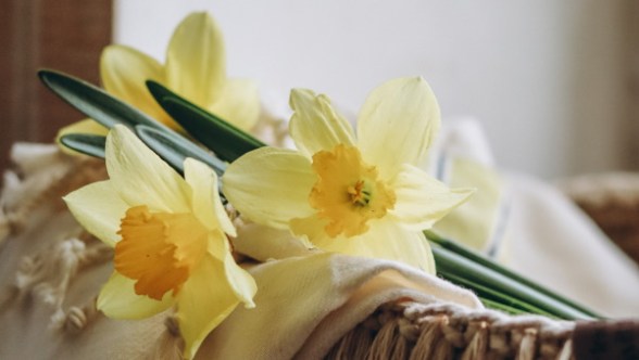 O ensino não é exclusividade de alguns