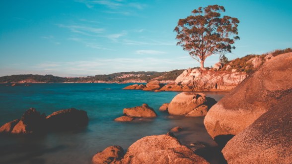 A verdadeira sabedoria